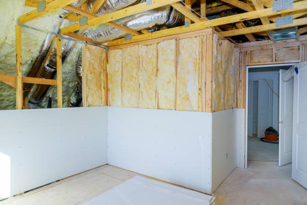 Best Types of Insulation in Lakeside, VA